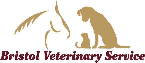 Bristol Veterinary Service