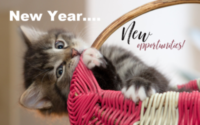 A New Year Equals New Opportunities to Be a Great Pet Owner!