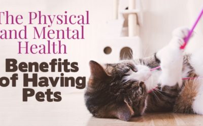 The Physical and Mental Health Benefits of Having Pets