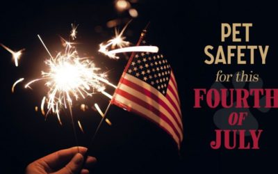 Pet Safety for this Fourth of July