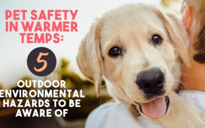Pet Safety In Warmer Temps