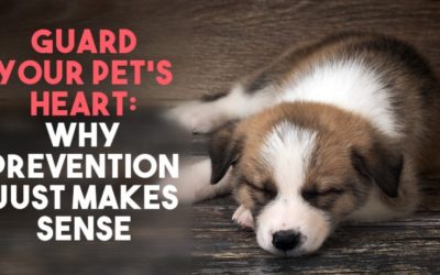 Guard Your Pet’s Heart: Why Prevention Just Makes Sense
